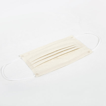 3-ply Disposable Protective Face Mask Ear loop Pleated (10 PCS)